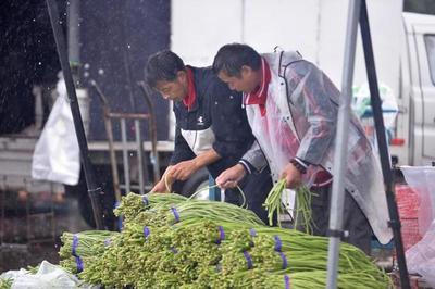 北京新发地市场落实防汛保供相应措施 确保主要蔬菜品种供应充足